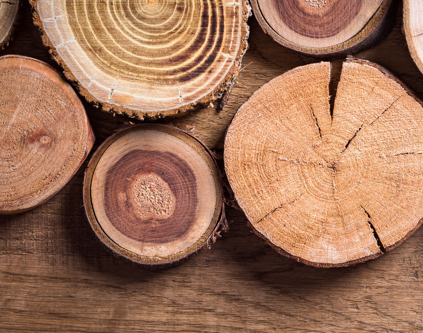 木材は環境に優しい素材